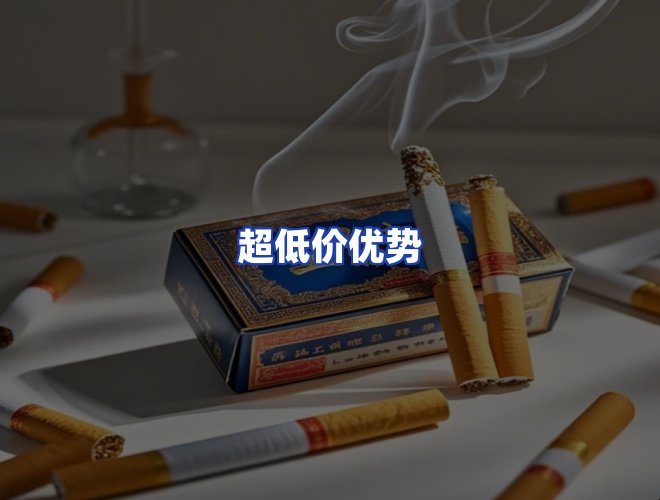 专业团队